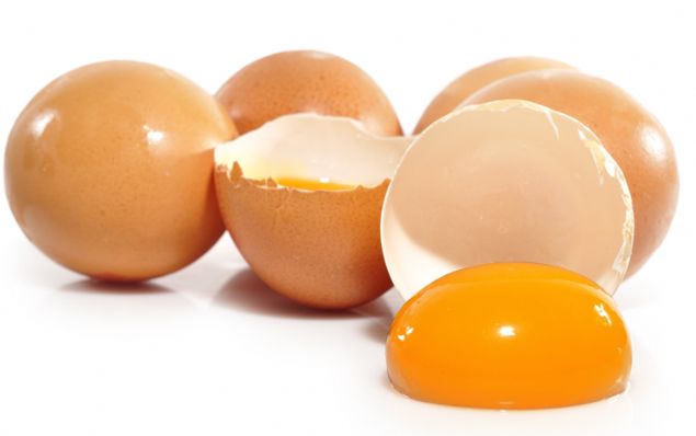 Bu bileim insan kemik ve di yaps bileimine ok benzemektedir.     