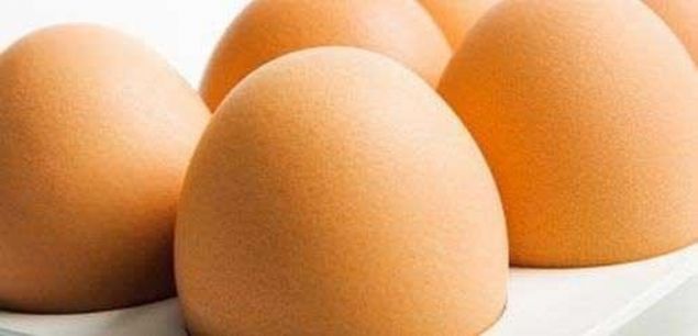 Salmonella bakterisi riski iin iyi kaynatlm olan yumurta kabuu, kurutulup blenderla toz haline getirildikten sonra tketilebilir.     