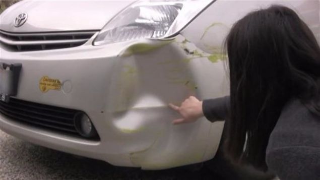 Ezik blgeyi temizlemekle baladlar, i bittiindeyse herkes ok ard.   