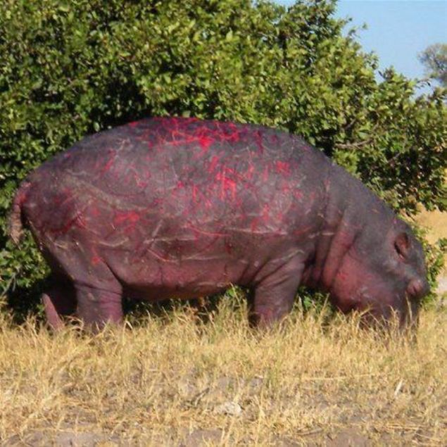 lmcl kavgalarn izlerini tayan bir su aygr 