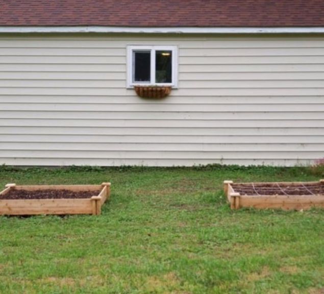       Salam yumurtadan yava yava ihtiyac olan minerali alan bitkiler, daha iyi byyp geliirler.  