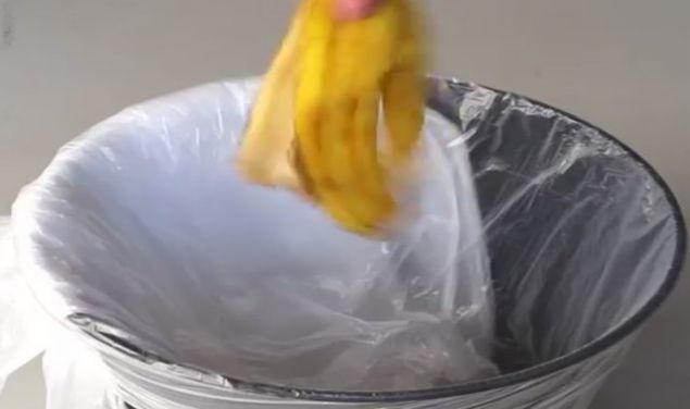       Kabuklarn pe atmak yerine onlar deerlendirebilirsiniz.  