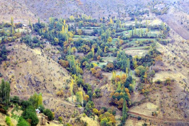     Terrn devlet ii olduunu, asker, polis ve gvenlik korucularnn operasyonlarn aralksz srdrdn ifade eden Blent Hamitolu, terrle mcadelede ok ciddi anlamda baar saladklarn vurgulad.  