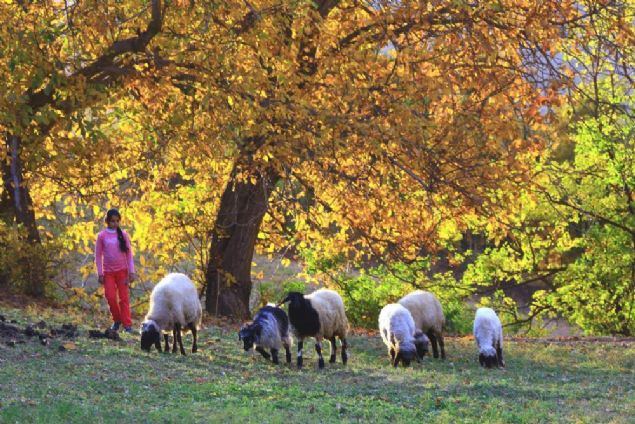   lede ok sayda din ve bilim adam yetimitir. lemiz halen bu deerlerini koruyor. Hizan'dan Trkiye'ye adeta k salm. stad Bedizzaman Said-i Nursi ve Gavsi Hizani gibi byk zatlarn yetitii bu topraklar ne yazk ki son 10 yldr terrle anlyordu.' 