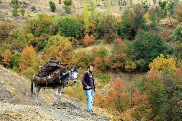   Yarmaya Malatya'dan katlan Musa Mutlu ise emekli olduunu ve bo zamanlarn deerlendirmek amacyla yllardr fotoraf ektiini belirtti.  