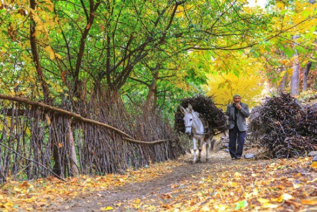   Bugne kadar deiik illerde dzenlenen yarmalara katlarak birok yarmada dl aldn aktaran Mutlu, 'Doas ve yaps ilgimi ektii iin 2 yl nce de buraya gelmitim. Bu yarmaya katlmaya karar verdim. Buraya yine gelmeyi dnyorum. ok gzel bir doas var. Doa harikas bir ile. ' 