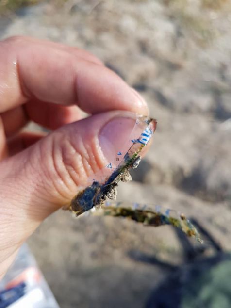  Turnbullun Facebooktaki bu paylamn, 11 binden fazla kullanc arkadalarna aktard. (milliyet) 