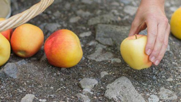 Yere d��eni yemek  <br><br>  �Biriniz bir �ey yerken bir par�as� yere d��erse, onu al�p �zerindeki bula�an� giderip yesin. �eytana b�rakmas�n.� (�bn Mace)  