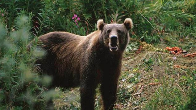 Yap�lan incelemede, ter�ristlerin g�da maddelerini bozulmas�n diye derine g�m�lmedi�i, m�himmat s���na��n�n da yakla��k 2 hafta �nce olu�turuldu�u saptand�.  