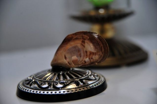   Hattat�n elindeki kalemiyle �ekti�ini, yumurtan�n �zerine verebilirseniz o zaman zanaatkar olabilirsiniz. 