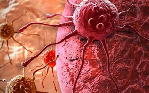 Ayvann ierisinde bulunan 'katein epikatein' denilen ayvaya buruk tadn veren bileenler ayn zamanda mukozay koruyarak olas kolon kanseri ve barsak hastalklarn nlyor.      