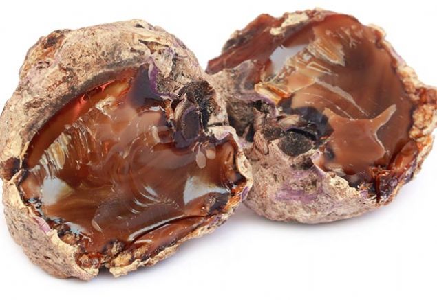   K hastalklarna kar kalkan grevi grr  <br><br>  Mrsafi antiseptik zellii sayesinde k hastalklarndan korunmay salar.  Kn dzenli olarak mrsafi tketmek neredeyse enfeksiyonel hastalklara yakalan riskini sfra indirebilir.    