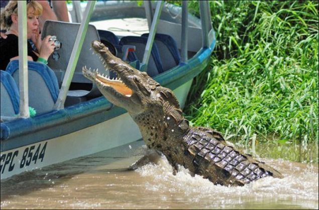 Sosyal medya kullanclar tarafndan en ok beenilen ve paylalan fotoraflar sizler iin derledik. te o paylamlar 