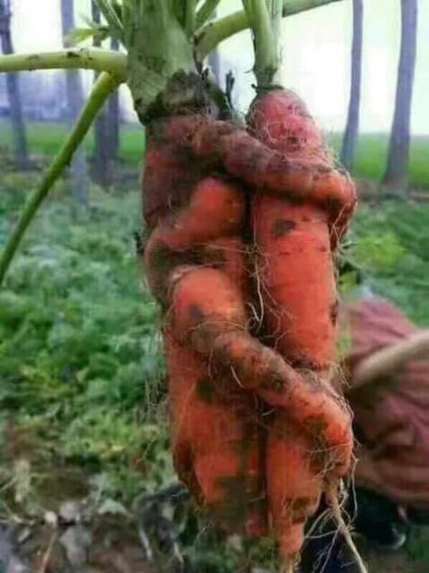 Sosyal medya kullanclar tarafndan en ok beenilen ve paylalan fotoraflar sizler iin derledik. te o paylamlar     