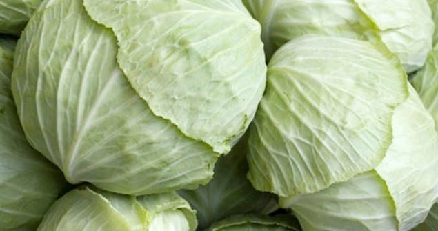                                                                 strojen metabolizmasnda faydal olan maddelere sahip olarak, yumurtalk, rahim ve gs kanserinden muzdarip kadnlara ifa kayna. eker hastalna faydal. Eklemlere gerek ifadr.                                                        