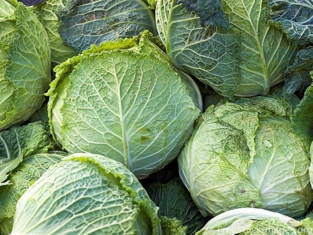                                                                 RKLER N LAHANA KULLANIMI  <br><br>  lahana yapran arl blgede yeterince ovun. Eklemlerimizde ar varsada uygulayn.                                                        