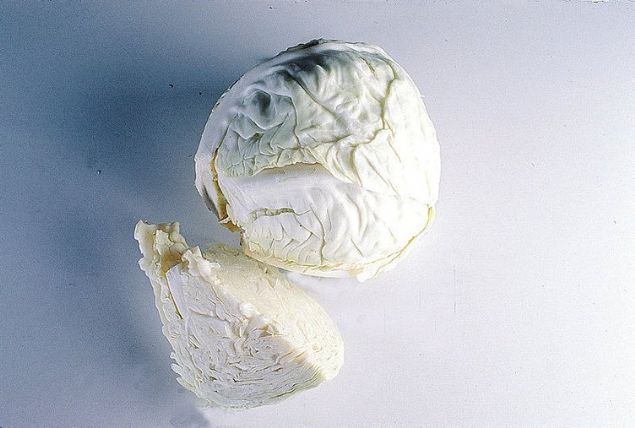                                                                 LAHANANIN VCUDUMUZUN DI KISIMLARINA FAYDALARI                                                         