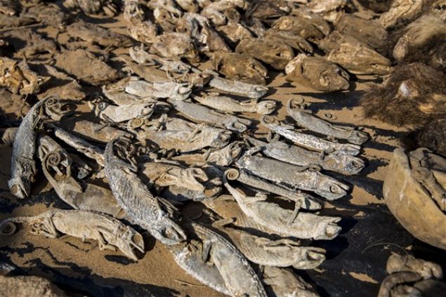  Akodessewa Pazar�'nda sat�lan mallar.     