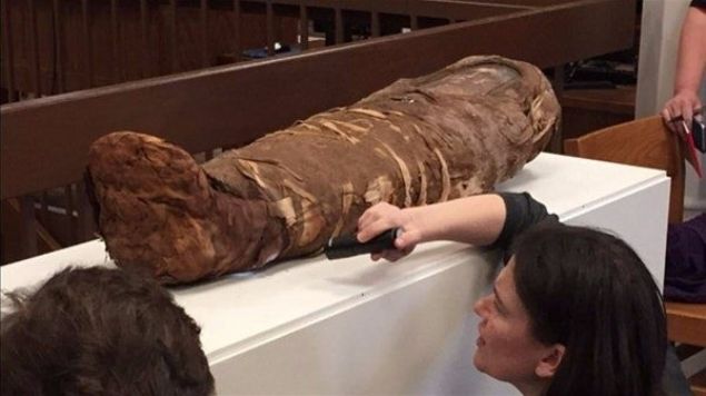 Ara�t�rmac�lar, sinkrotron ���n�m� kullan�lan, ultra parlak y�ksek enerjili X-Ray teknolojisiyle, keten bezlerle sar�l� y�zeyin alt�ndaki t�m yap�lar� tespit ve analiz etmeyi ama�l�yor. 