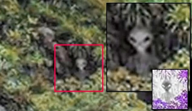 Baz� ki�iler ise adan�n alt�nda tek bir UFO'nun olmad���n�, bu yerin uzayl�lar�n gizli �ss�ne a��lan bir kap� oldu�unu iddia ediyor. (sabah) 