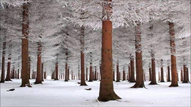 te sosyal medya hesaplar ve deiik yerlerde paylalan kareler aklamaya gerek duymuyor.     