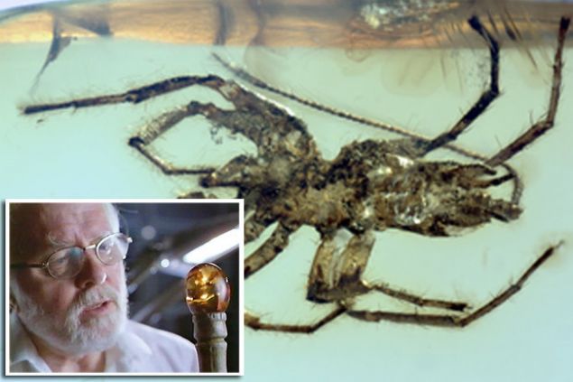 Uluslararas� bir ara�t�rma ekibi taraf�ndan yap�lan ara�t�rmalar sonucunda ortaya ��kan bulgular Nature Ecology & Evolution dergisinde d�n yay�mland�.      