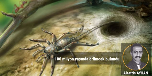 Bu t�yler �rpertici yarat�k muhtemelen a�a�lar�n i�inde ya da yak�n�nda ya��yor ve bug�n g�rd���m�z modern �r�mcek gibi a� �rebiliyordu.      