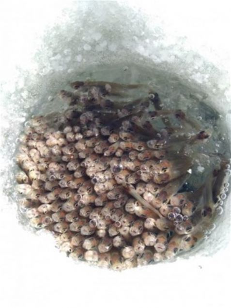   Buza delik a�an adam�n 15 dakika sonra kar��la�t��� g�r�nt�.     