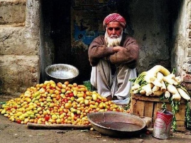  Yedikleri tm sebze ve meyveleri i yiyorlar. Sebzeleri bazen ok az piiriyorlar.   