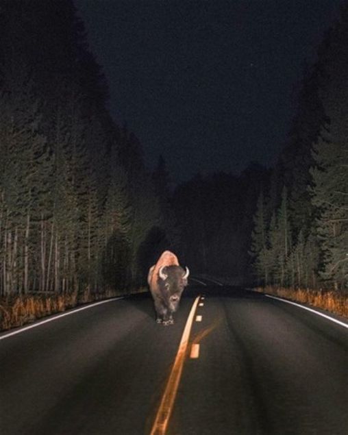    'Gece yarsndan sonra dar kyorum ev ay  altnda yryorum'         