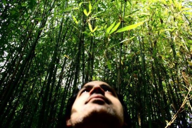     Yossi Ghinsber1981 ylnda Amazon ormanlarnda kayboldu. 3 hafta boyunca vahi doada hayatta kalmay bildi.      