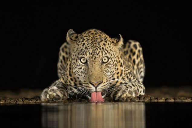  te dnyann drt bir yanndan fotorafnn katld yarmadan baz kareler... 