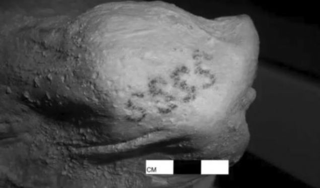 �talya'n�n �mola kentinde 2010 y�l�nda yap�lanbir kaz� s�ras�nda ortaya ��kan ger�ek t�yleri diken diken etti. Ara�t�rmalar sonras�, kafatas� delindikten 1 hafta sonra �len hamile kad�n�n, g�m�ld�kten sonra do�um yapt��� ortaya ��kt�. 