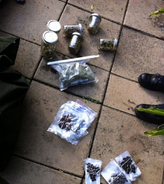  Mack Reed yeni sat�n ald��� evin arka bah�esinde �al��ma yapt��� esnada, jakuzili havuzun alt�nda bulunan bir k�sm� gizli, bir k�sm� a��k kasaya tak�larak t�kezledi. Asl�nda as�l amac� bu jakuzi i�in g�ne� panelleri kurmakt�.       