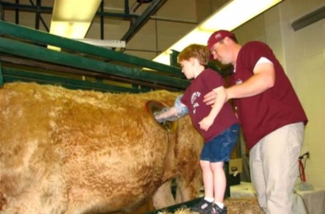  Ayrca bu delik inein midesinin dardan mikrop kapmasna da neden olmamaktadr. nk inek rumeninde yer alan bakteri ve mantarlar, halihazrda bu ortam igal etmi haldedir. Dolaysyla dardan gelen hibir organizma, bu ortamda mcadele etmeyi baaramaz ve elenir.         