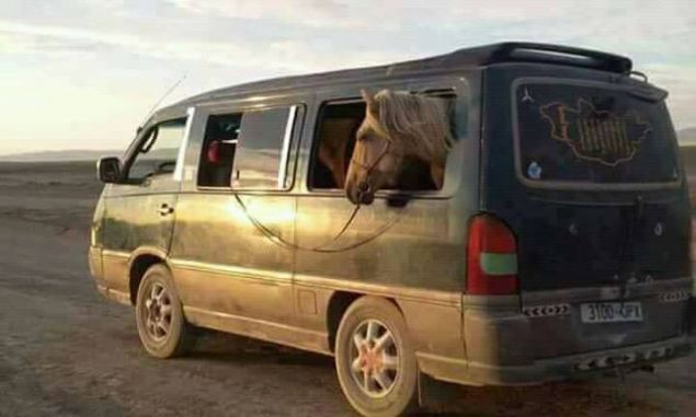 Sosyal medya kullan�c�lar� taraf�ndan g�n�n en �ok be�enilen ve payla��lan foto�raflar�n� sizler i�in derledik...  