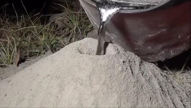 Kar�nca yuvas�n�n yap�s�n� merak eden adam bo� bir yuva buldu ve i�ine erimi� al�minyum d�kt�.      