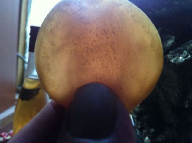  Bal���n midesinden ��kan ta�� parlat�nca bak�n nas�l bir hal ald�.        