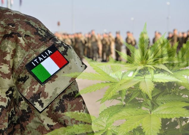  talya    <br><br>  247,500  