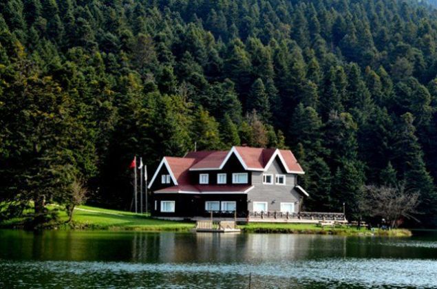                                                                 BOLU %37 Galatasaray %22 Fenerbah�e %21 Be�ikta�                                                       