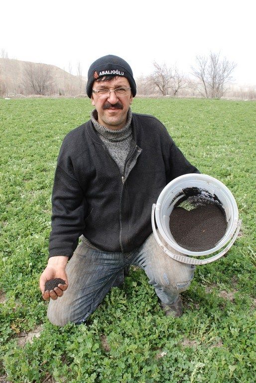 'D�nyada bir�ok �lkede kullan�l�yor. �zellikle Amerika�da, doktorlar�n re�eteyle leonarditten yap�lan haplar� verdi�i biliniyor. �nsanlardaki ba����kl�k sistemini kuvvetlendirdi�i g�zlemleniyor. Devletimiz harekete ge�erse, biz bunlarla ilgili �al��malar yapmak istiyoruz. Tonu 50 lira ile bin lira aras�nda de�i�iyor. Paketlenmi� vaziyette.  