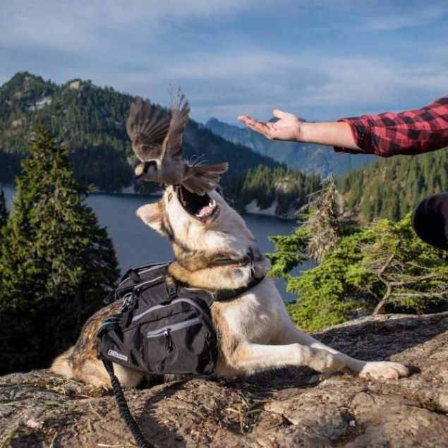te sosyal medya hesaplar ve deiik yerlerde paylalan kareler aklamaya gerek duymuyor. nk bu fotoraflar konuuyor.      