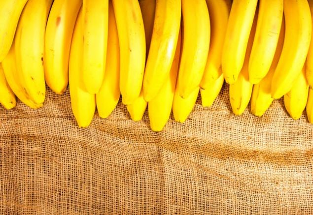 Sindirim sistemini d�zenliyor 4 g�n boyunca muz t�ketmenin faydalar�ndan bir di�eri ise sindirim sistemini d�zenlemesi. �nemli bir sa�l�k sorunu olan kab�zl��a iyi geldi�i bilinen muz, lif bak�m�ndan zengin bir �r�n oldu�u i�in sindirim sistemi �zerinde olumlu bir etkiye sahiptir     