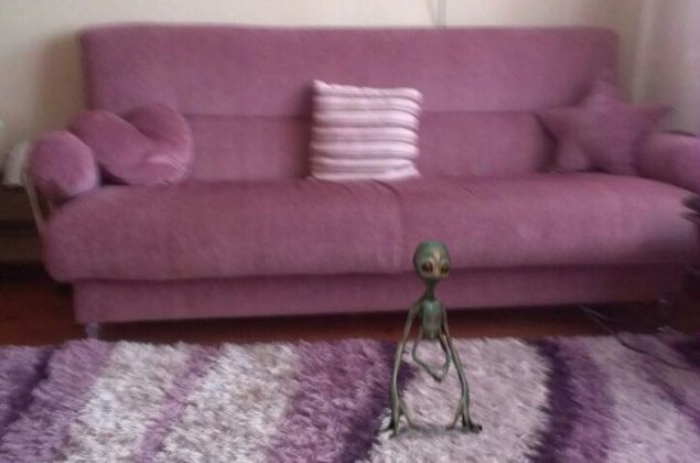  �ddiaya g�re, foto�raflar� inceleyen aile, iki karede tan�mlanamayan bir yarat�k g�rd�. Foto�raflar� g�ren ev sahibesi b�y�k bir korku ya�ad� ve ���l�k att�. Ailenin di�er bireyleri, panikle s�z konusu yarat��� arad� fakat ba�ar�s�z oldu.Cep telefonu taraf�ndan �ekilen foto�raflar� yorumlayan aile ve yak�nlar�, karelerde yer alan yarat���n cin yada uzayl� olabilece�ini, ama kesinlikle fotomontaj olmad���n� s�yledi.Fakat i�in asl�n�n bir teknoloji acemili�i oldu�u k�sa s�rede ortaya ��kt�. Asl�nda kabuslar�, yeni ald�klar� android i�letim sistemli telefonlar i�in haz�rlanan bir foto�raf uygulamas�yd�. Uygulaman�n �zelli�i �ekilen foto�raf�n i�ine bir efektle ger�ek olmayan eklemeler yapabiliyor olmas�. Bilmeden �ektikleri foto�raflar�n i�inde g�rd�kleri yarat��� ger�ek zanneden aile de bu uygulaman�n kurban� oldu.        