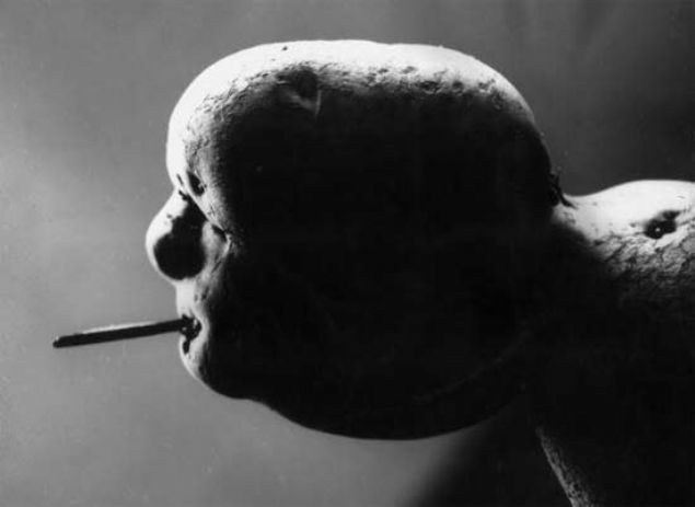  Sadece bir patatesSAHTE      