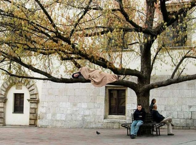  A�a� �zerinde ya�ayan evsizSAHTE      