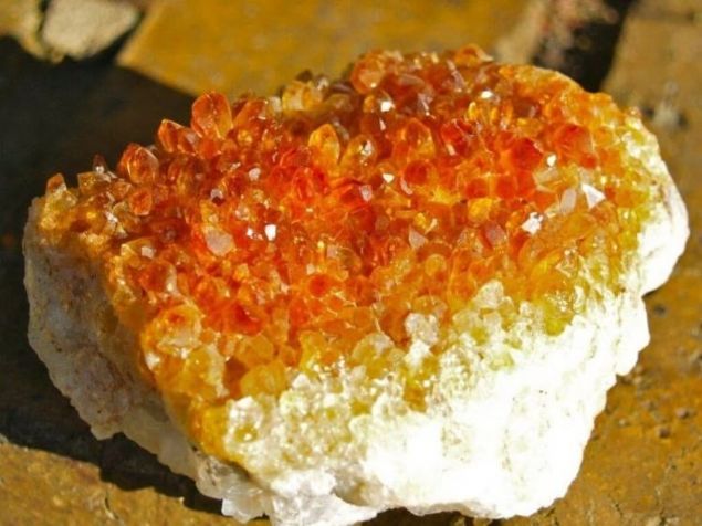    Sitrin    Sindirimi olumlu etkiler. Vcudun zehirli maddelerin atlmn ve enerjisini salar. 