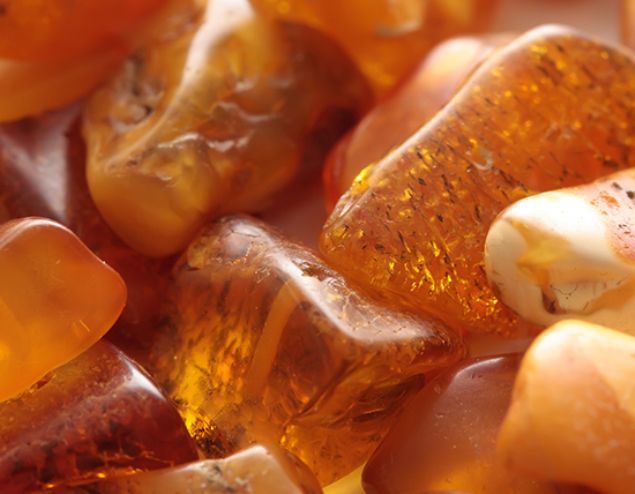    Bakm:    Ilk suyun altnda tutularak boaltm yaplr. Gne altnda yklenilir. 