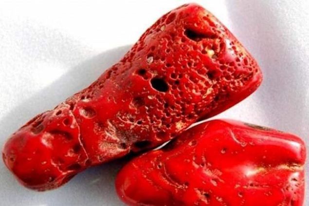    Mercan    Kan yapmn tevik eder ve enfeksiyondan korur. 