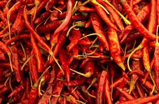 Ac biberin en ac ksm neresidir?<br><br>    Ac biberin en ac ksmnn ekirdekleri olduuna dair inancn tersine asl ac olan ksm, o ekirdeklerin tutunduu merkezdeki zardr. Bu zar, en fazla kapsaisin ieren ksmdr. Kapsaisin bibere ayrt edici acln veren renksiz, kokusuz bileiktir.  